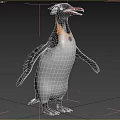 Aquatic Penguin With Black White Plumage And Orange Beak In Natural Habitat