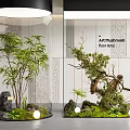 Modern Indoor Landscape With Mushroom Floor Lamp Green Plants Rocks Moss And Glass Partition