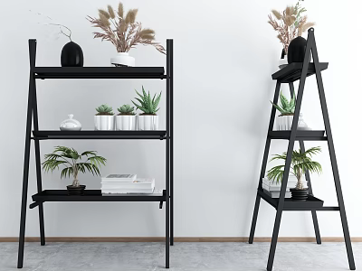 Black Ladder Shelves with Multiple Layers Displaying Garden Decor Including Potted Plants Dried Flowers and Books 3d model