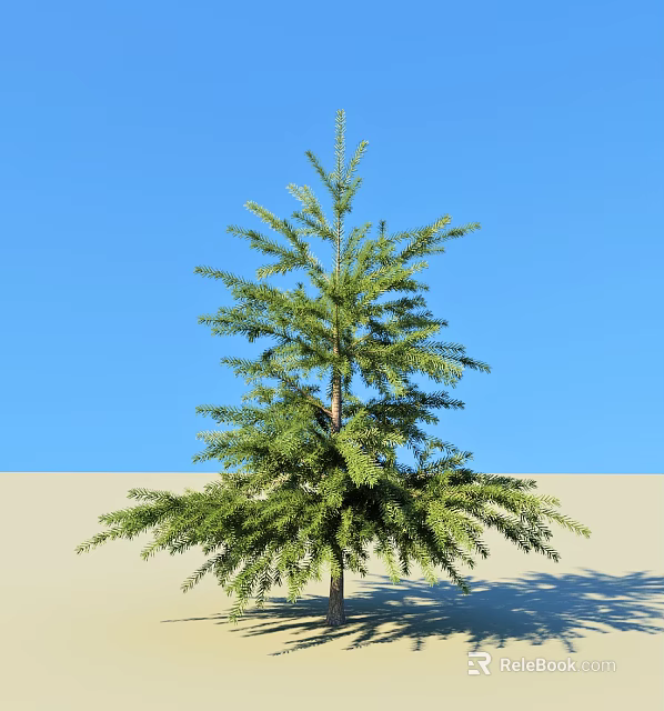 Tall Green Arbor With Lush Foliage Growing Against Blue Sky And Sandy Ground 3d model 