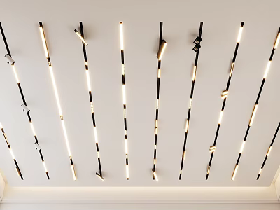 Modern Interior Ceiling Lighting With Elegant Linear Arrangement Of Recessed Downlights And Track Spotlights 3d model