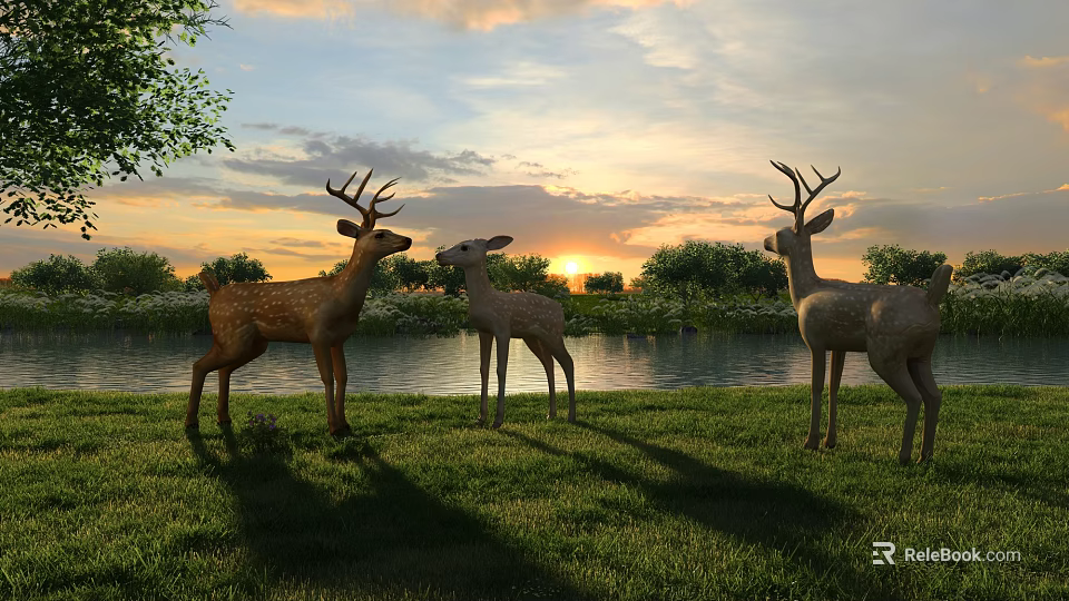 Three Deer Standing Peacefully On Green Lakeside Grassland During Golden Sunset 3d model 