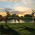Three Deer Standing Peacefully On Green Lakeside Grassland During Golden Sunset