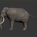 Realistic Gray Elephant Figure With White Tusks And Red Eyes On Dark Background