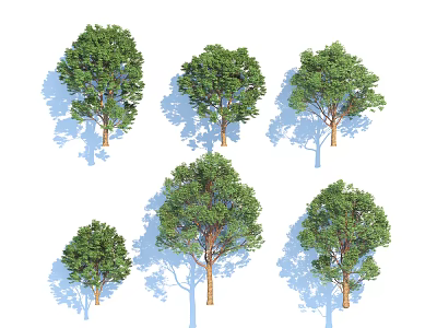 Multiple Arbor Trees Featuring Green Foliage And Varied Crown Shapes With Shadows 3d model