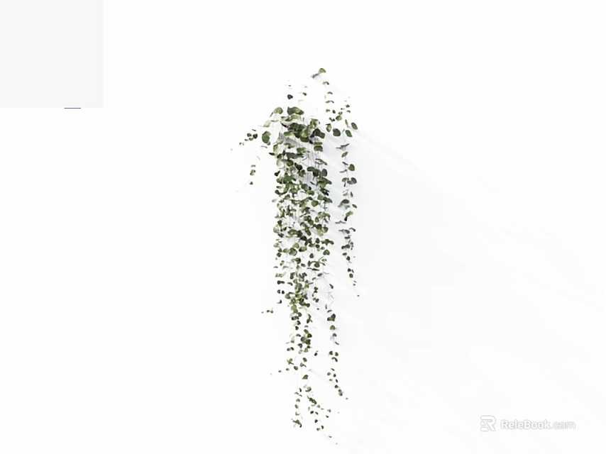 Hanging Indoor Decorative Vine Plant With Green Leaves And Lush Trailing Growth 3d model 