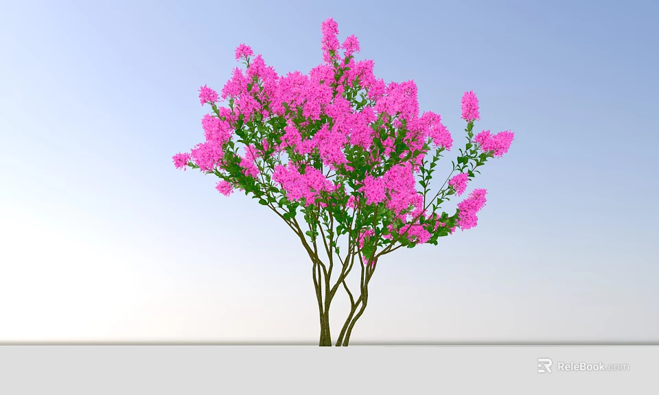 Beautiful Garden Shrub With Vibrant Pink Flowers Against Blue Sky 3d model 