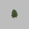 Decorative Ornament Set with Green Leaf Tree White Flowers and Figure Decoration