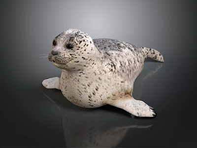 Detailed Lifelike 3D Seal Model With Spotted Fur On Gray Background 3d model