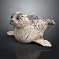 Detailed Lifelike 3D Seal Model With Spotted Fur On Gray Background