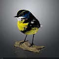 Colorful Bird With Yellow Body Blue Face Black White Head Perched On Wooden Branch