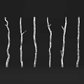 Six Slender White Textured Tree Branches Arranged Vertically On Black Background 3d model