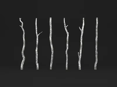 Six Slender White Textured Tree Branches Arranged Vertically On Black Background 3d model
