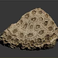 Natural Wooden Stone Block With Rough Textured Surface And Organic Patterns