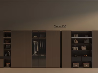 Modern Wardrobe Interior Design Featuring Hanging Clothes Bag Shelves And Drawers 3d model
