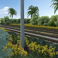 Railway Tracks Infrastructure with Palm Trees Green Shrubs and Yellow Flowers
