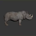 Detailed 3D Rhinoceros Model Rendering With Realistic Texture And Gray Background