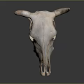 Silver Metallic Cow Skull With Detailed Horns On Reflective Dark Background