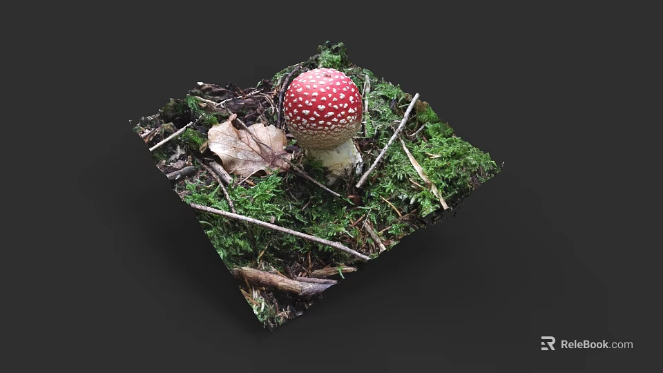 Botanical Painting With Red Spotted Mushroom Green Moss Dry Leaves And Twigs 3d model 