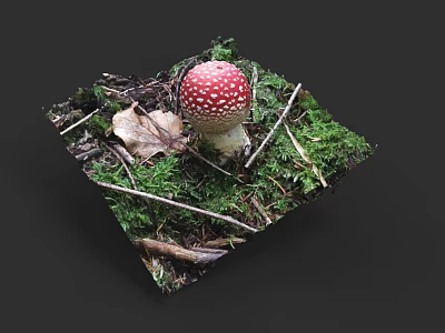 Botanical Painting With Red Spotted Mushroom Green Moss Dry Leaves And Twigs 3d model