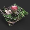Botanical Painting With Red Spotted Mushroom Green Moss Dry Leaves And Twigs