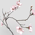 Pink Flowering Branch With Blooming Blossoms And Small Flower Buds On Gray Background