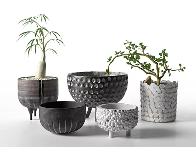 Bonsai Plants in Various Decorative Ceramic Pots with Unique Textures and Designs 3d model