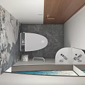 Modern Bathroom Set With Toilet Sink Marble Wall And Wooden Accents