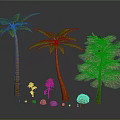 Various Types of Trees Including Palm Trees and Leafy Tree with Small Saplings and Stones
