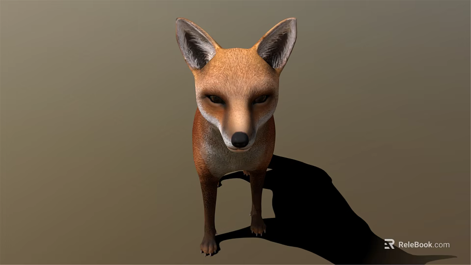 Red Fox Standing Front View With Reddish Brown Fur On Neutral Background Casting Shadow 3d model 