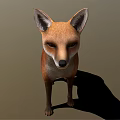 Red Fox Standing Front View With Reddish Brown Fur On Neutral Background Casting Shadow 3d model