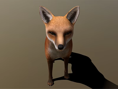 Modern fox cartoon fox 3d model Modern fox cartoon fox 3d model