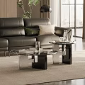 Two Coffee Tables With Black Leather Sofa Green Plant And Books In Living Room