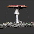 Pink Spotted Mushroom with White Stem on Green Moss Dry Leaves Square Mat Black Background
