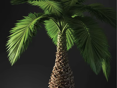 Bonsai Palm Tree With Green Fronds And Brown Trunk For Indoor Decor 3d model