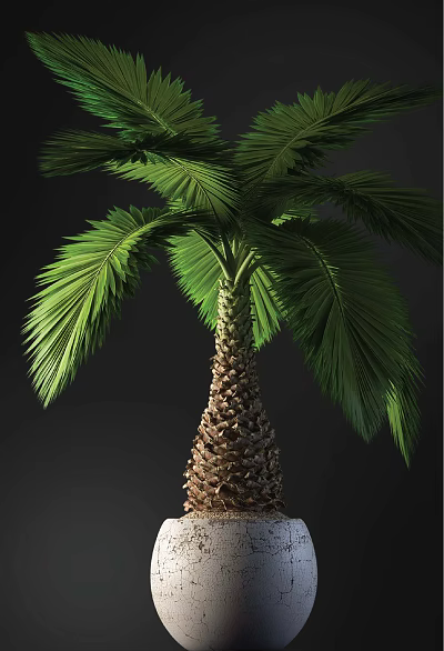 Bonsai Palm Tree With Green Fronds And Brown Trunk For Indoor Decor 3d model
