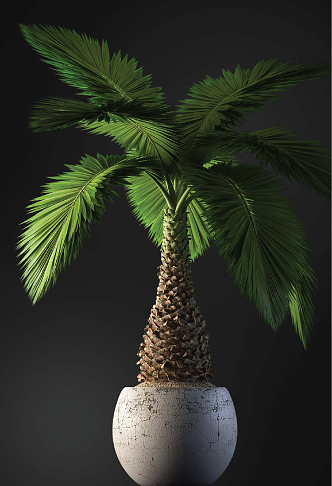 modern potted plant indoor potted plant 3d model