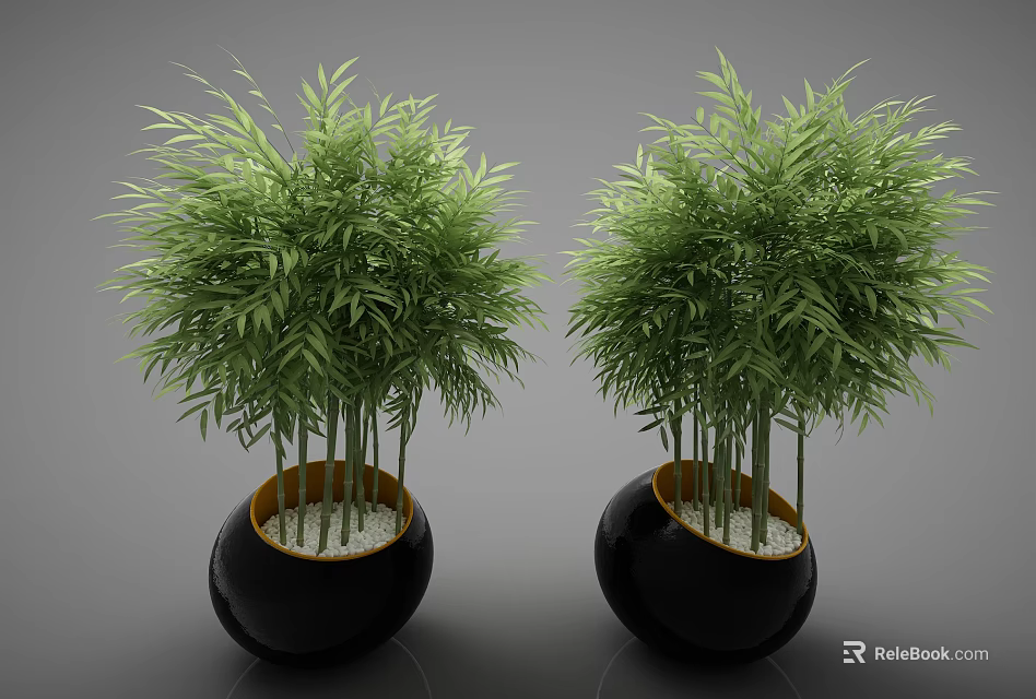 Green Bonsai Bamboo Plants in Black Round Pots with White Pebbles 3d model 