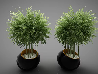 Green Bonsai Bamboo Plants in Black Round Pots with White Pebbles 3d model