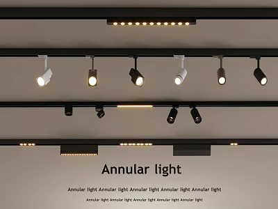 Black And White Track Mounted Downlights And Spotlights With Warm Light For Modern Interior Lighting 3d model