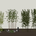 Bamboo Landscape Bamboo Luohan Bamboo Xiangfei Bamboo Courtyard Bamboo Garden Forest Bamboo 3d model