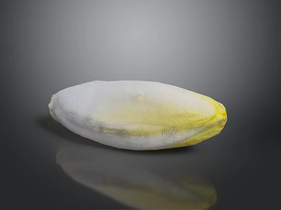 Fresh Endive Vegetable With White Base And Yellow Leaf Tips On Dark Background 3d model