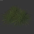 Lush Green Herbaceous Plants With Slender Leaves In Three Clusters 3d model