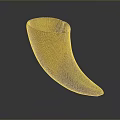 Handcrafted Horn Vessel With Natural Brown Yellow Texture And Functional Design