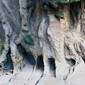 Scenic Coastal Cliff Landscape With Rock Caves Sand Beach And Vegetation