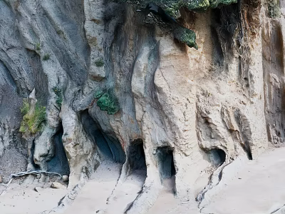 Scenic Coastal Cliff Landscape With Rock Caves Sand Beach And Vegetation 3d model Scenic Coastal Cliff Landscape With Rock Caves Sand Beach And Vegetation 3d model