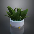 Modern Floral Display with Green Plants White Flower Pot Yellow Feet and Blue Light Strip