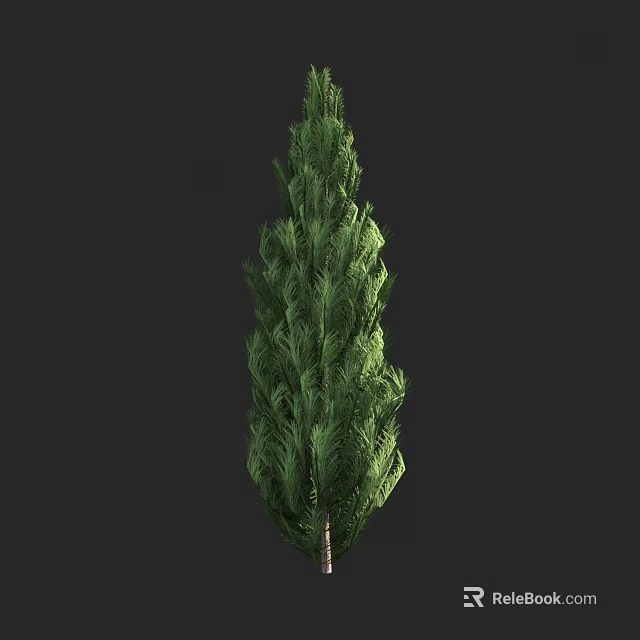 Tall Evergreen Arbor With Dense Green Foliage And Brown Trunk On Dark Background 3d model 