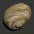 Aquatic Animal Shell Featuring Creamy White And Light Pink Spiral Patterns On Dark Background With Reflection 3d model