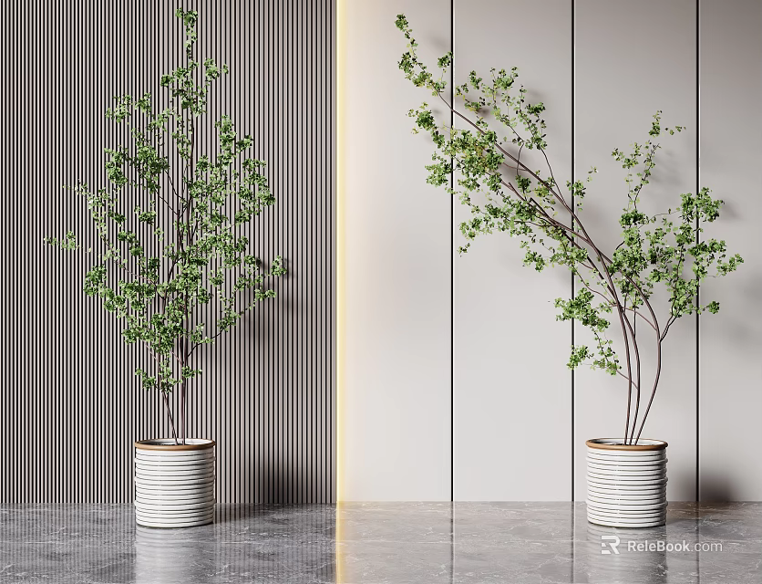 Bonsai Potted Plants With Green Leaves And Branches In White Textured Pots Modern Gray Wall 3d model 